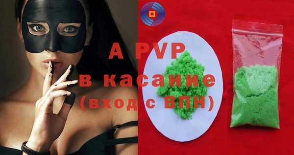 прущие грибы Богданович