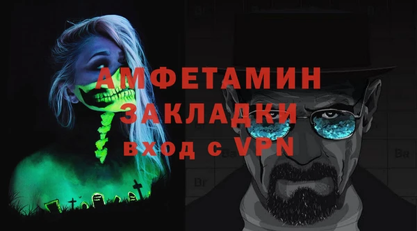 прущие грибы Богданович