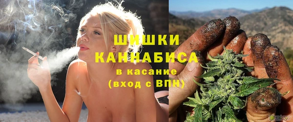 прущие грибы Богданович