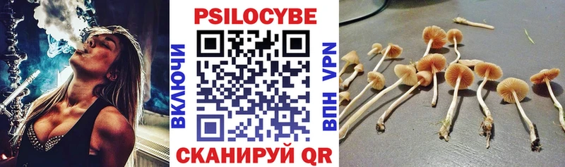 Псилоцибиновые грибы Magic Shrooms  купить наркоту  Малаховка 